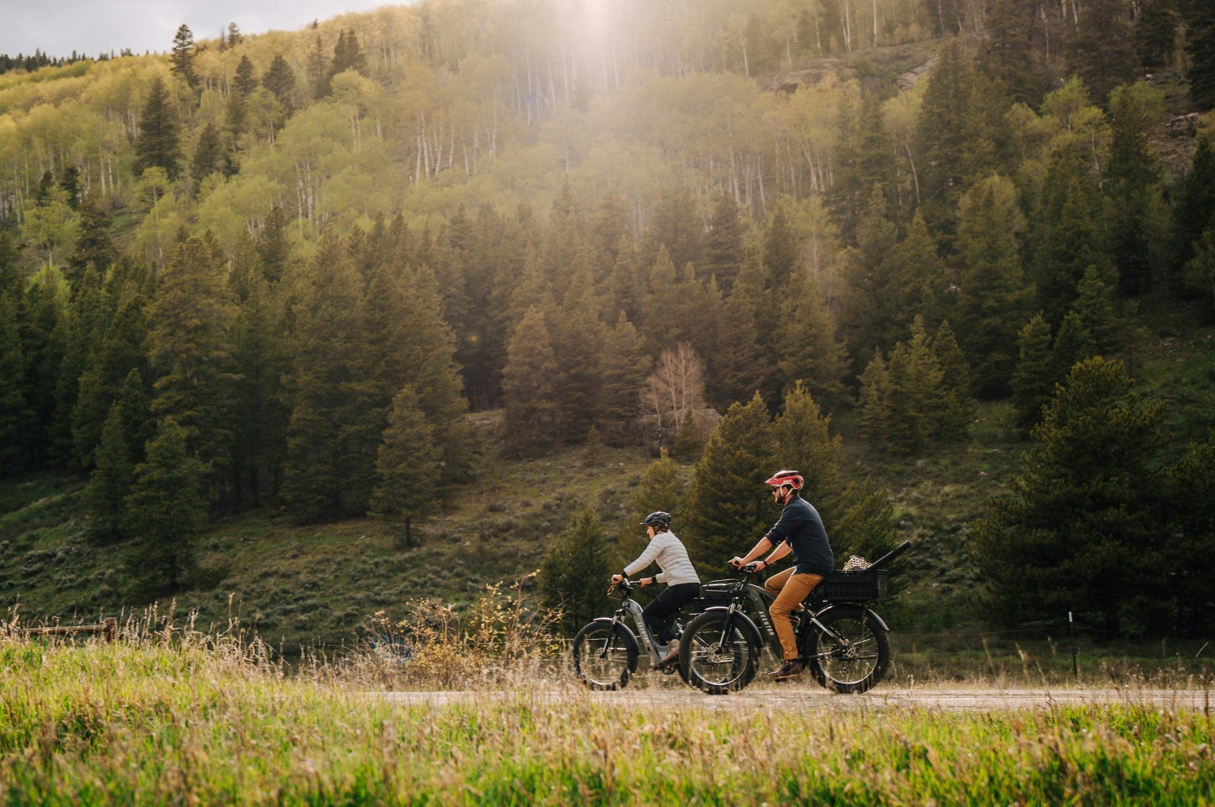 Aventure.2 Step Over Ebike